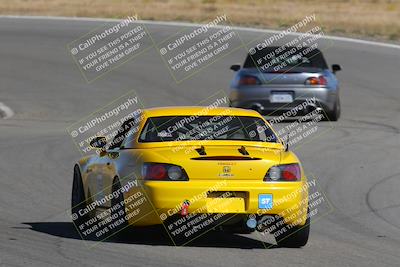 media/Nov-03-2023-Club Racer Events (Fri) [[fd9eff64e3]]/Yellow/Back Shots/